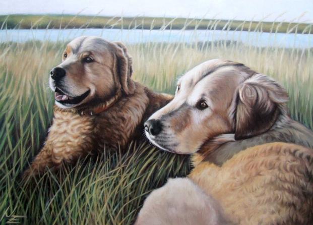 Two Golden Retriever - Nicole Zeug - Cliquer pour afficher en grand