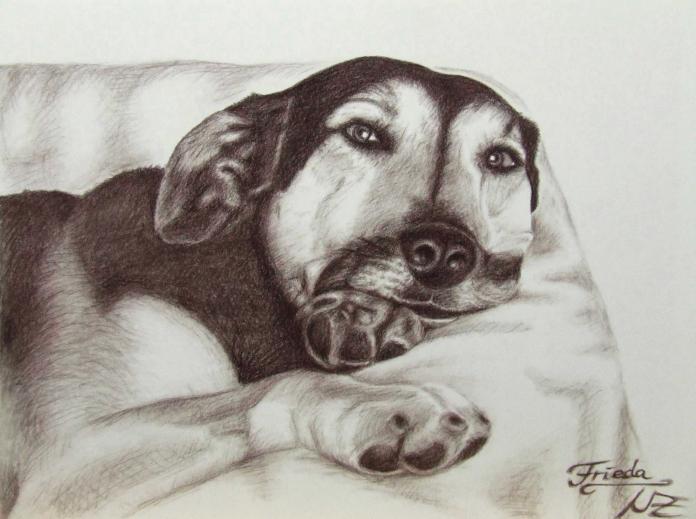 Frieda - Nicole Zeug - Click to enlarge