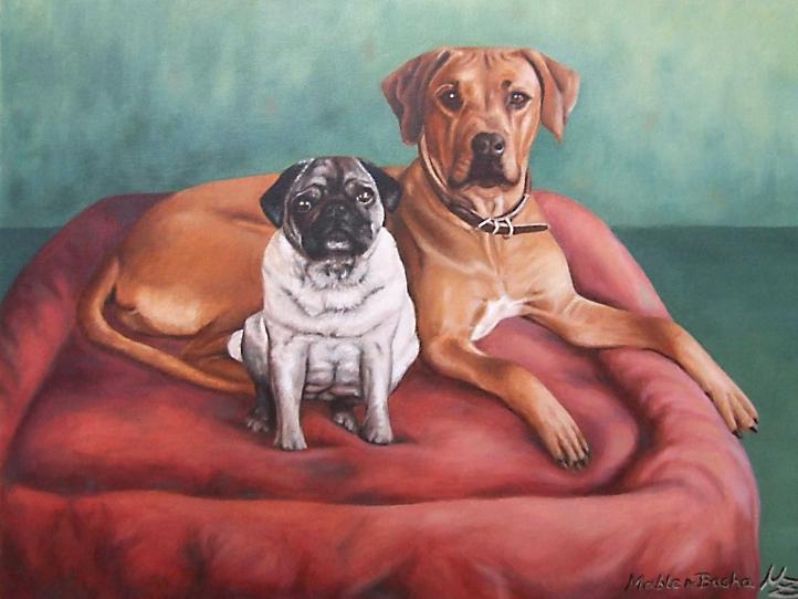 Pug and Rhodesian Ridgeback - Nicole Zeug - Click to enlarge