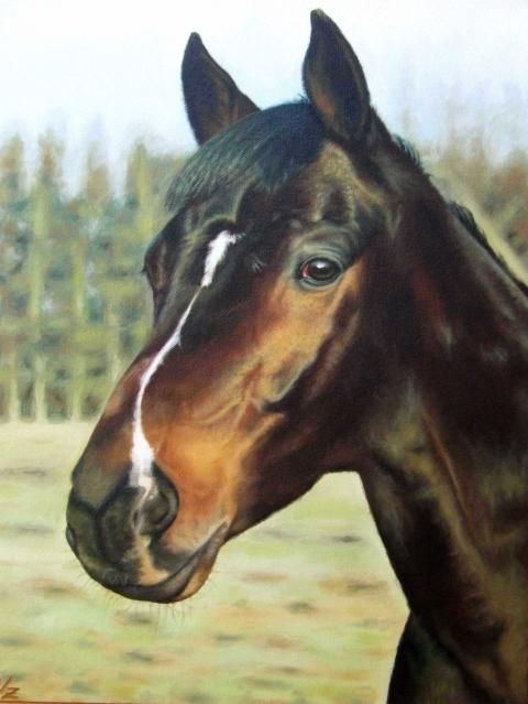 Russian Horse - Nicole Zeug