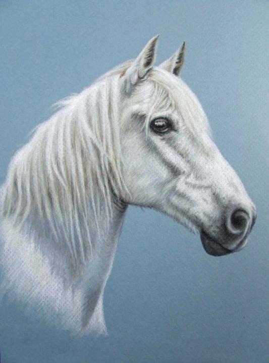 White Stallion - Nicole Zeug