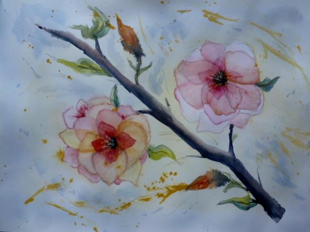 Branche en fleurs - Pierre Bayol - Click to enlarge