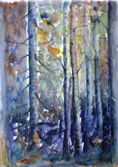 Sous bois sombre - Pierre Bayol