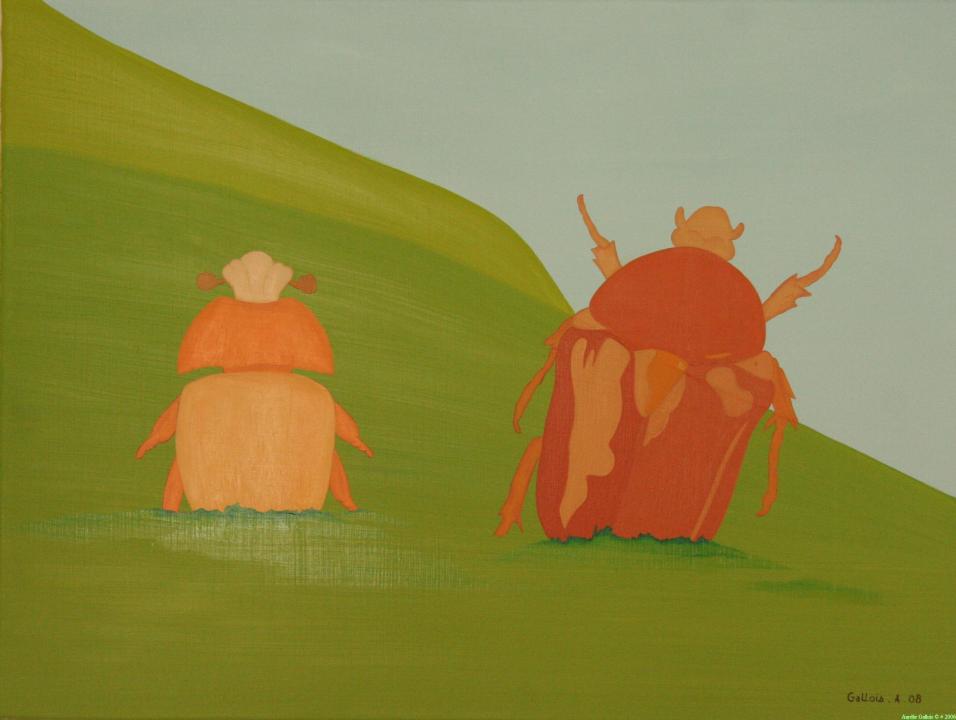 Coléoptères de l'île de Pacques - Aurélie Gallois - Cliquer pour afficher en grand