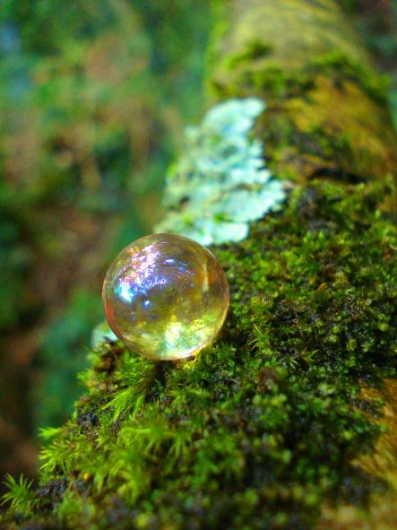 bubble balance - Anna Stier