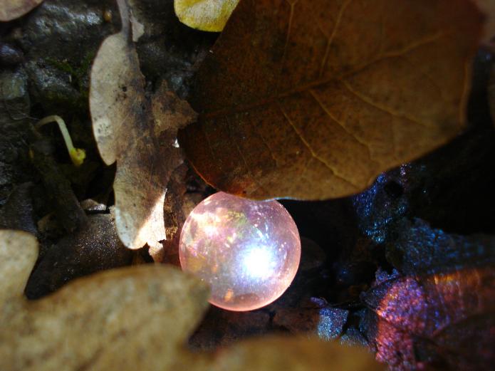 faery bubble - Anna Stier - Cliquer pour afficher en grand