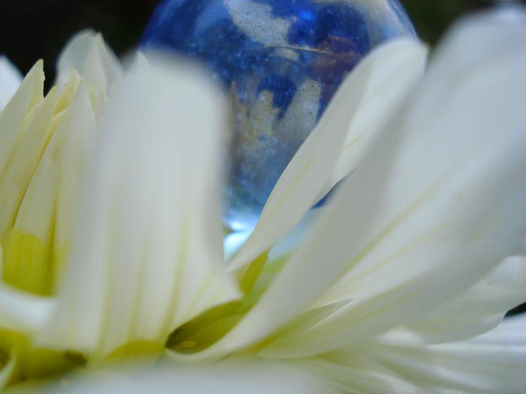 dreaming bubble - Anna Stier - Click to enlarge