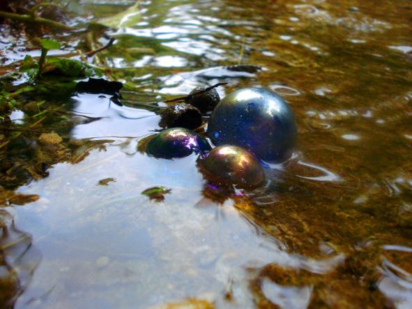 swimming bubbles - Anna Stier - Cliquer pour afficher en grand