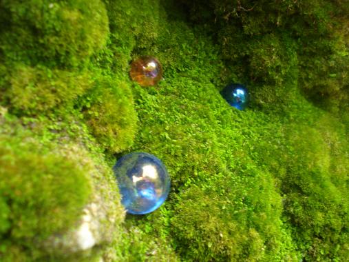 hobbit bubbles - Anna Stier