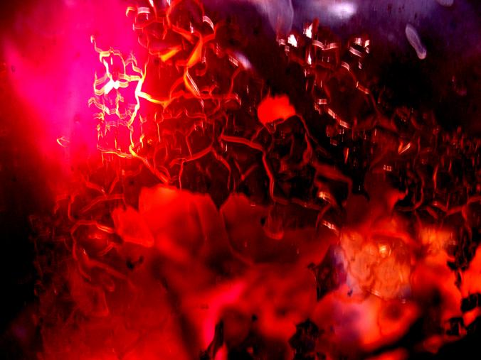 alchemy 7 - Anna Stier - Click to enlarge