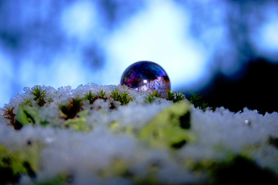 christmas bubble 4 - Anna Stier - Click to enlarge