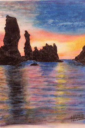 Les aiguilles de Port coton - Alain Daunis