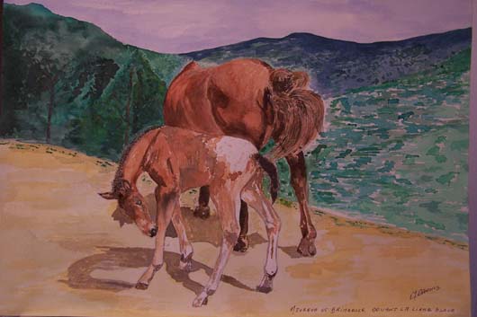 Azureva et Brimbelle - Alain Daunis