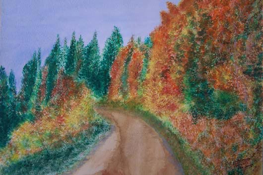 Col dans les vosges - Alain Daunis