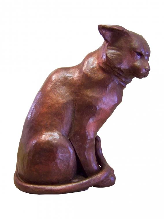 chat contrarié - Clarisse Roche