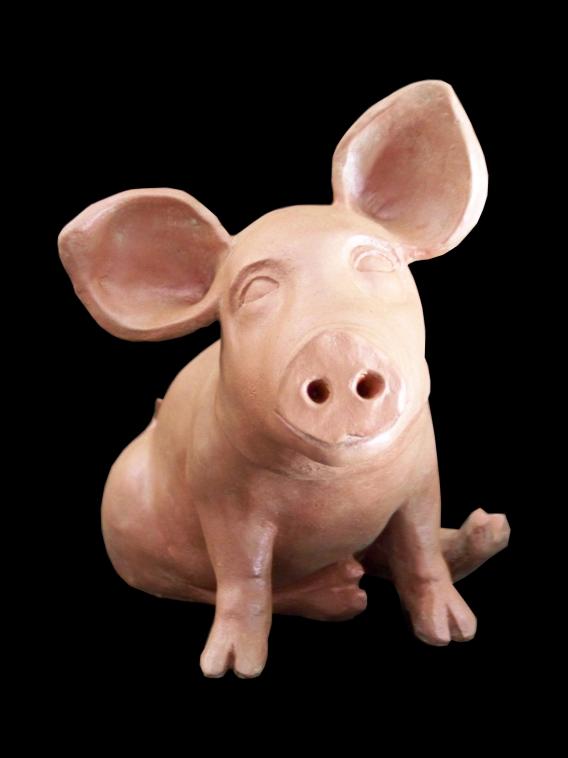 cochon - Clarisse Roche