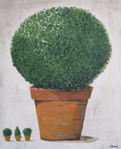 buis boule - Annette David