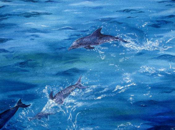 Dolphins - George Hulbert