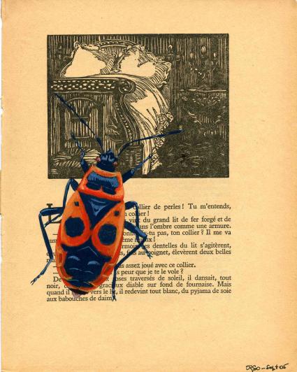 Gendarme - Orso