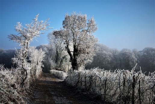 FRAGILITÉ  DU  GIVRE - Gérard Lefebvre