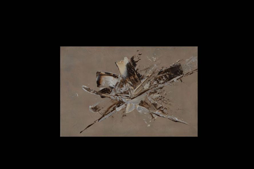 Projections - Jacqueline Spill - Cliquer pour afficher en grand