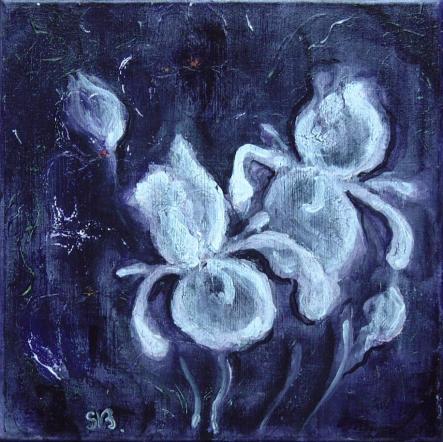 Iris dans la nuit - Stéphanie Gauthier