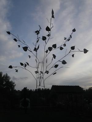 arbre tremblant - Bernard Mages