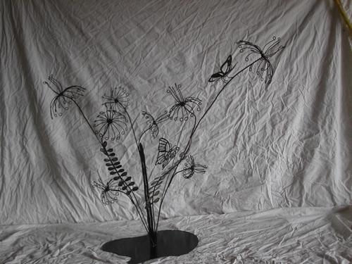 ombelle aux papillons - Bernard Mages