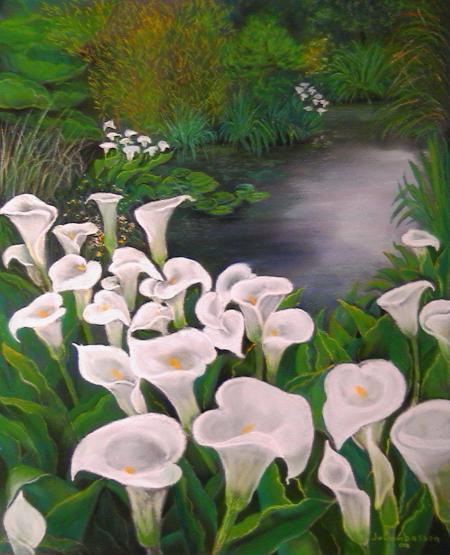 arums 1 - Jo Combasson