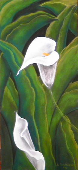arums 2 - Jo Combasson
