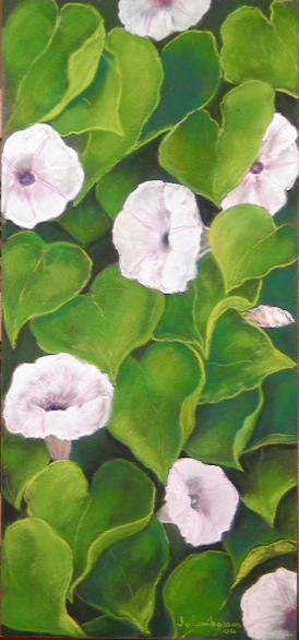 volubilis - Jo Combasson