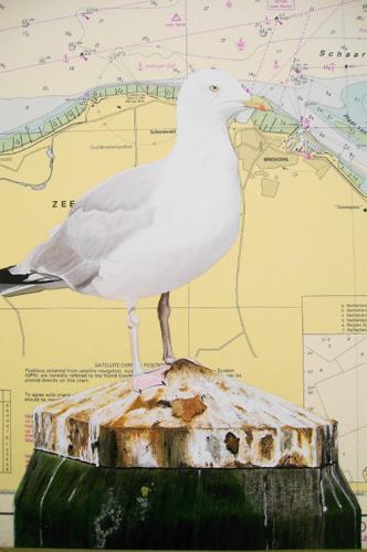 Looking for... - Frank van Speybroeck
