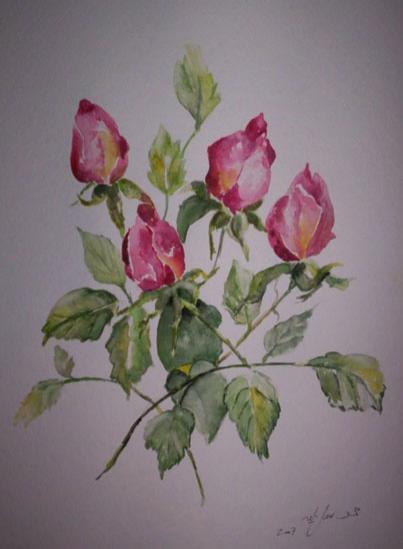 Boutons de roses - Mohamed Srir