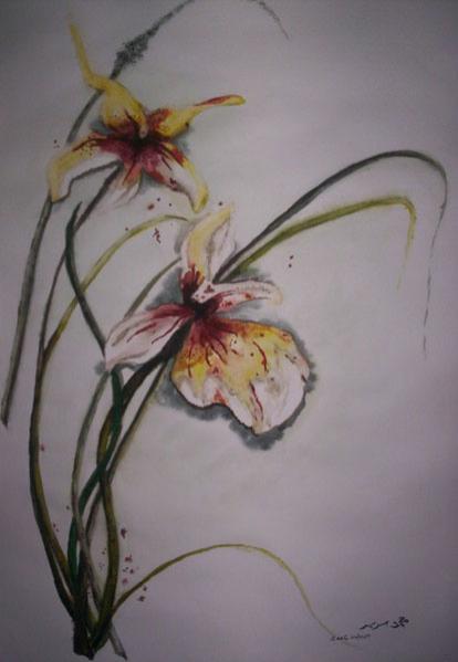 Iris - Mohamed Srir