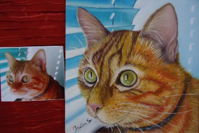 Bruce - Christine Slimani - Cliquer pour afficher en grand