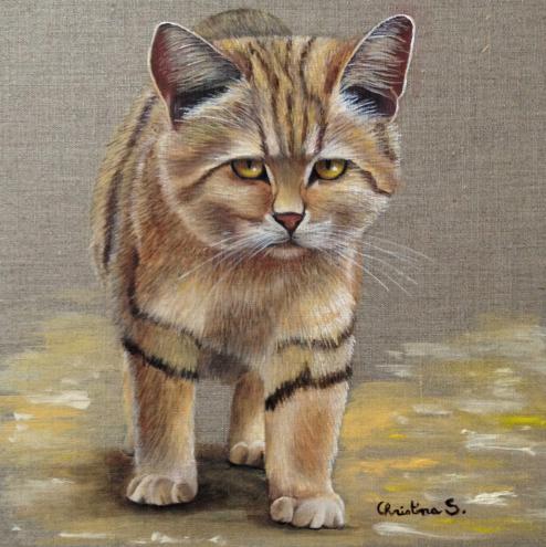 Chat des sables - Christine Slimani