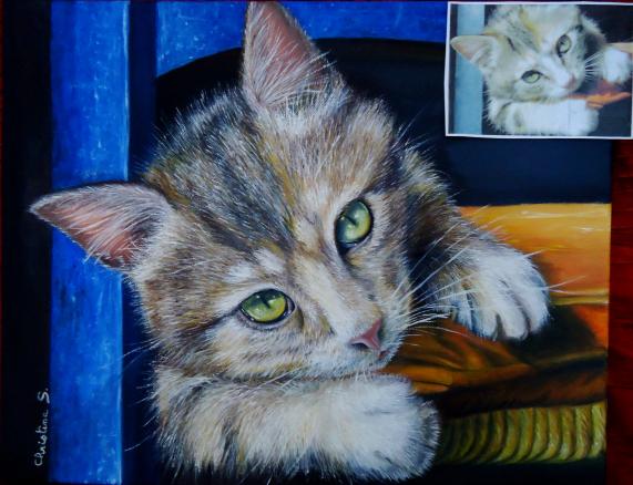 Chaton - Christine Slimani