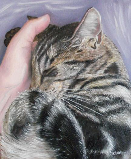 Freddy - Christine Slimani