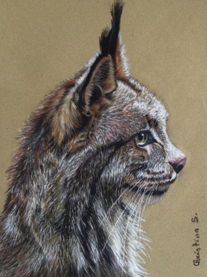 Le lynx - Christine Slimani