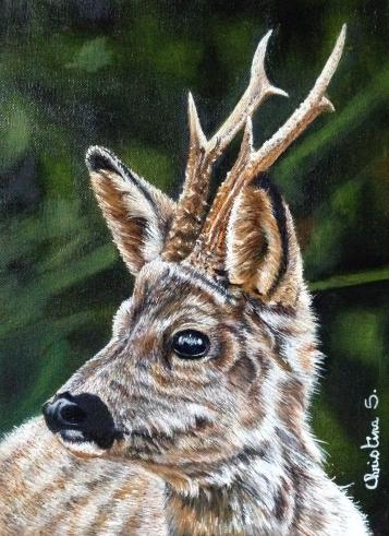 Brocard de ma forêt - Christine Slimani