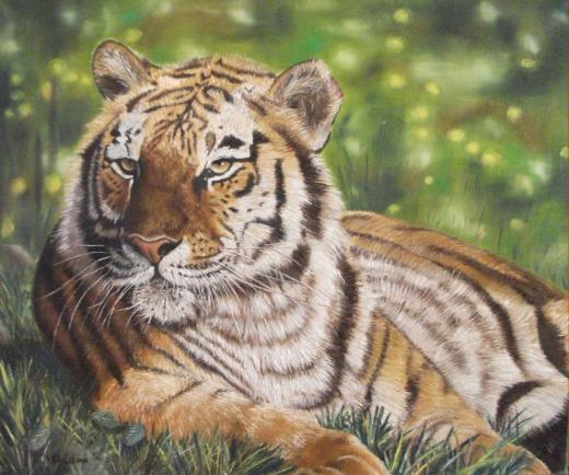 Le Tigre blessé - Christine Slimani