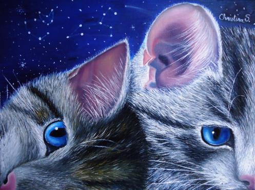Little félis stars - Christine Slimani