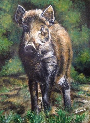 Sanglier de ma forêt - Christine Slimani
