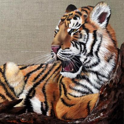 Tigre - Christine Slimani