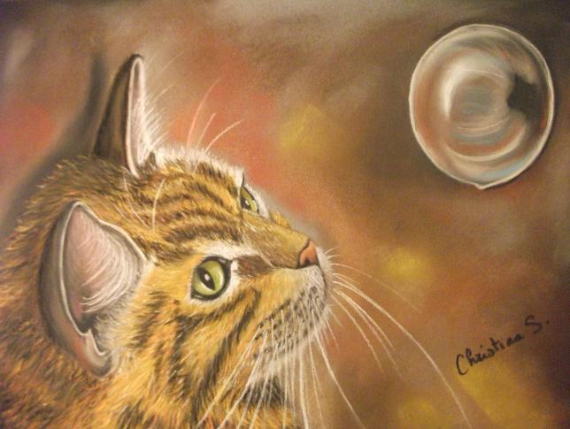 Transparence - Christine Slimani - Click to enlarge