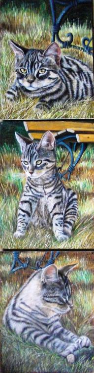 Trois petits chats - Christine Slimani