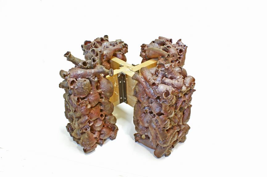 Diverge - Makoto Hatori - Click to enlarge