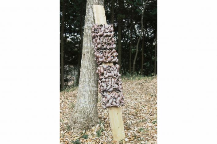 Parasitism - Makoto Hatori - Click to enlarge