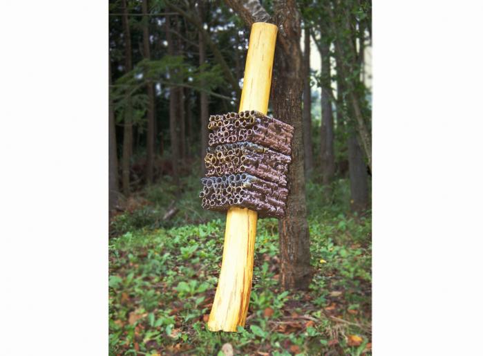 Parasitism - Makoto Hatori - Click to enlarge