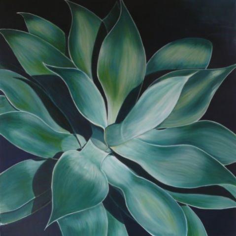 Agave - Valérie Stapleton